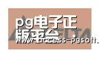 PG电子APP合作伙伴六