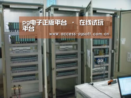 PG电子APP案例展示五