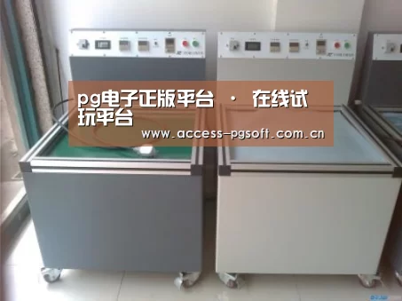 PG电子APP案例展示二