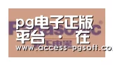 PG电子APP合作伙伴四