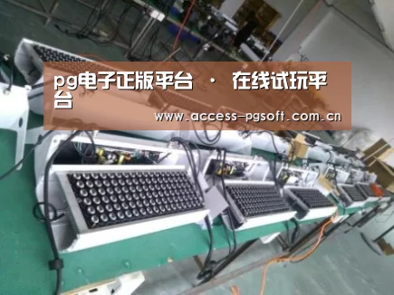 PG电子APP案例展示一