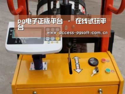 PG电子APP案例展示三