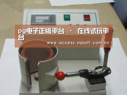 PG电子APP案例展示六