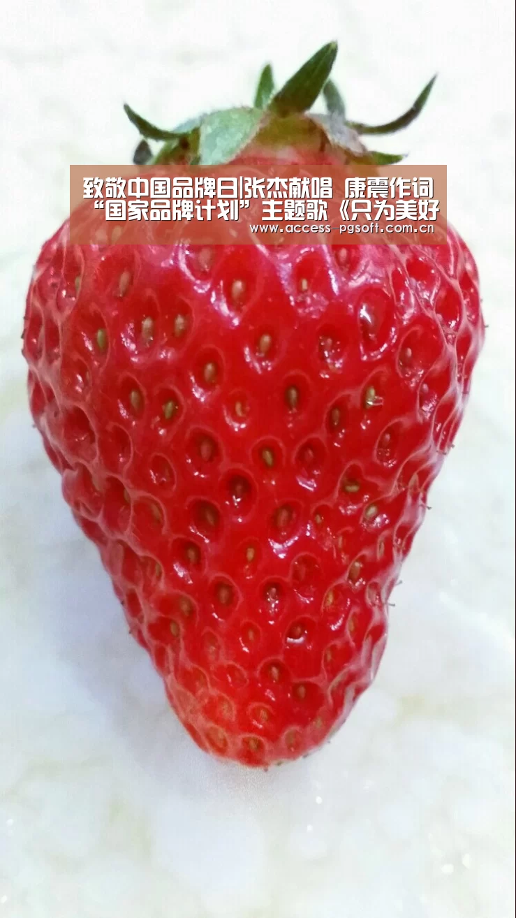 pg电子模拟器官网