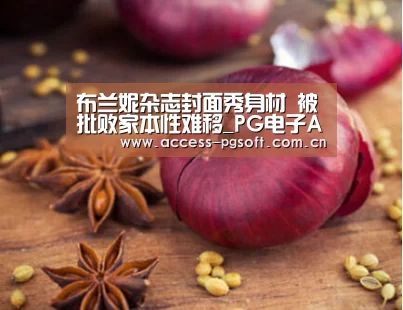 布兰妮杂志封面秀身材 被批败家本性难移_PG电子APP(图2) PG电子APP