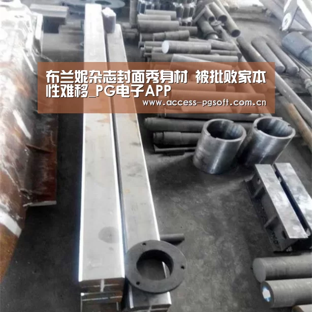 布兰妮杂志封面秀身材 被批败家本性难移_PG电子APP(图3) pg电子游戏模拟器