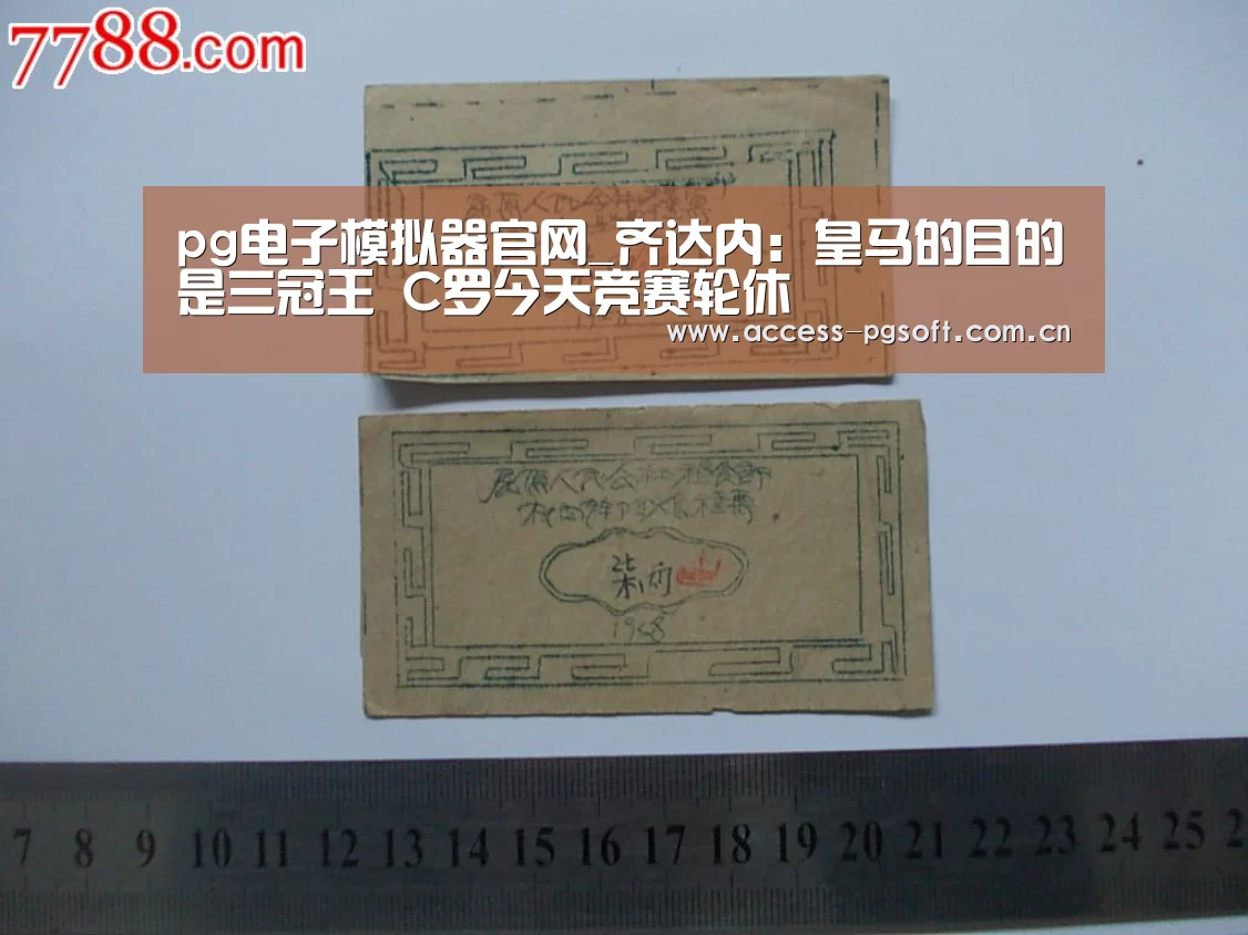 pg电子模拟器官网