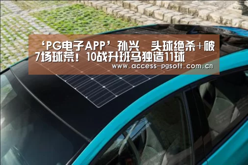 pg电子模拟器官网
