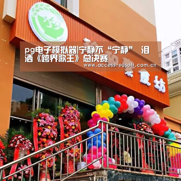 pg电子游戏模拟器