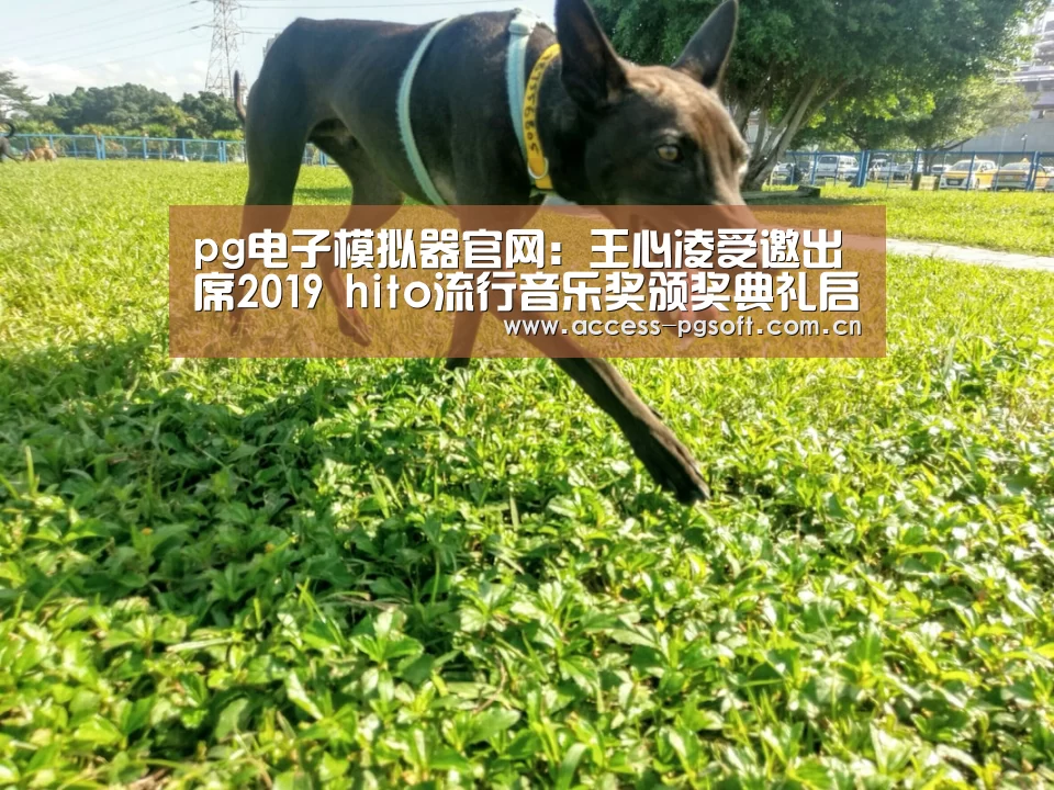 PG电子APP