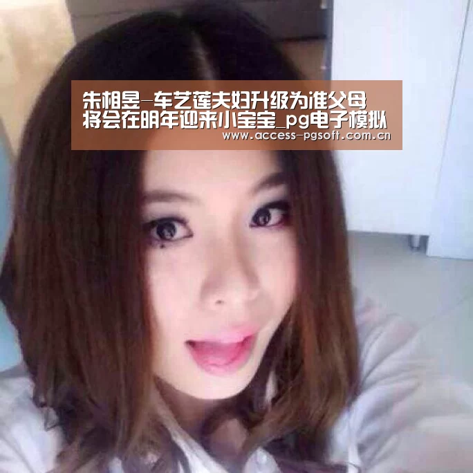pg电子模拟器官网