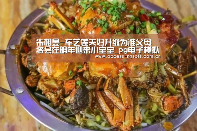 pg电子模拟器官网