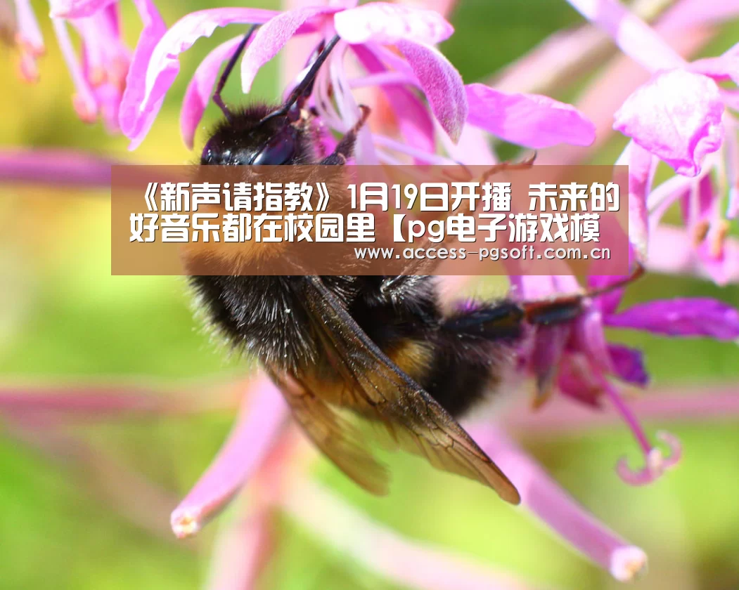 PG电子APP