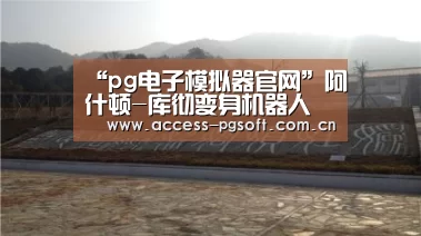 pg电子模拟器官网