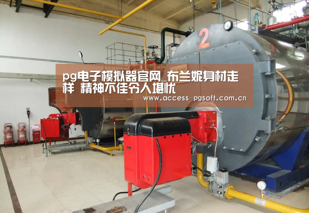 pg电子游戏模拟器