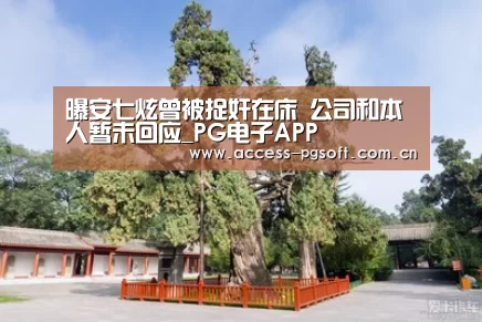 pg电子游戏模拟器